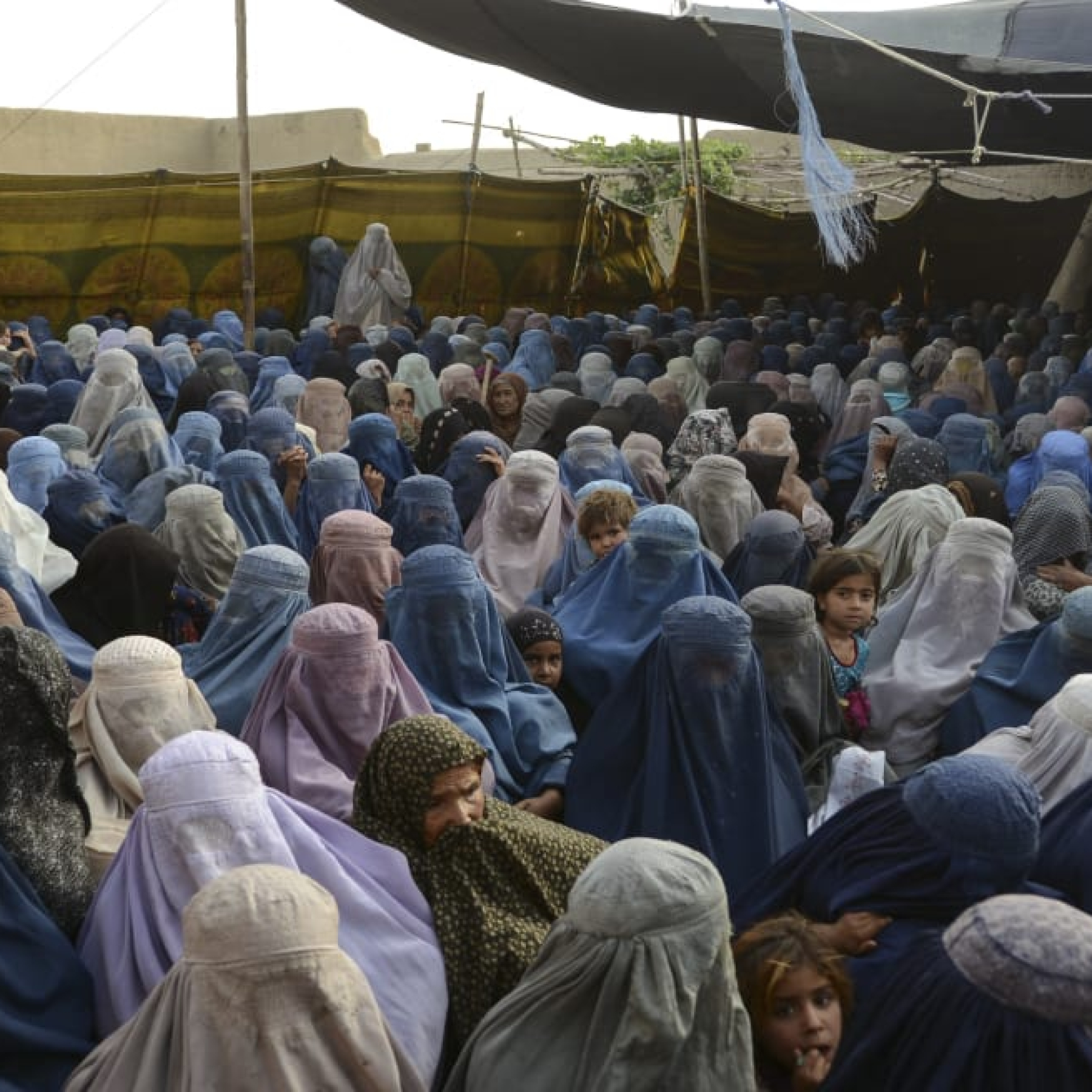 Foreign aid groups halt work after Taliban ban on female staff