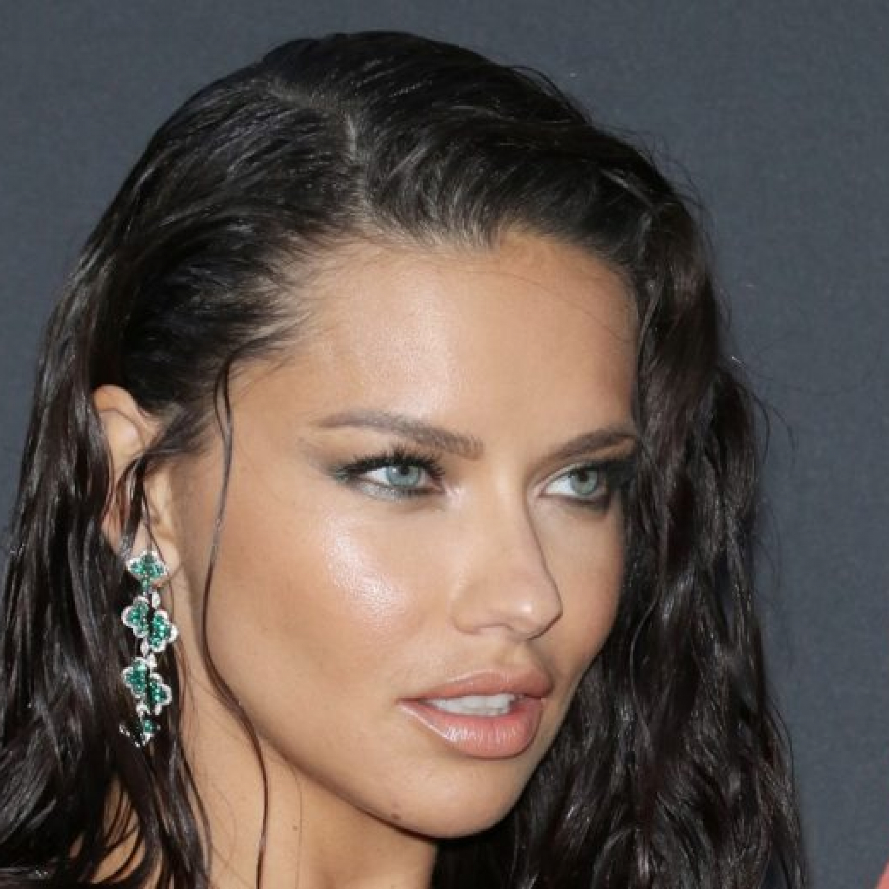 Adriana-Lima-768x521