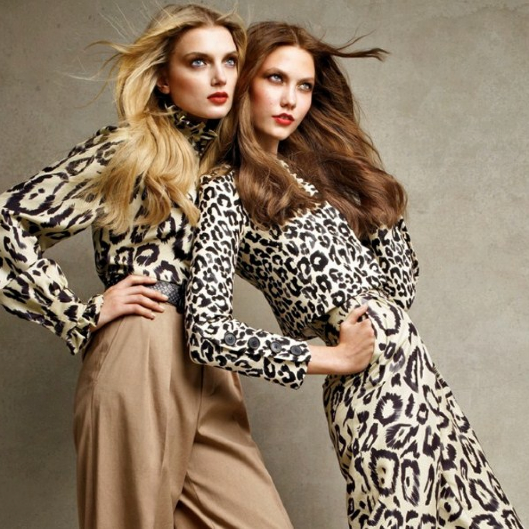 Animal Prints