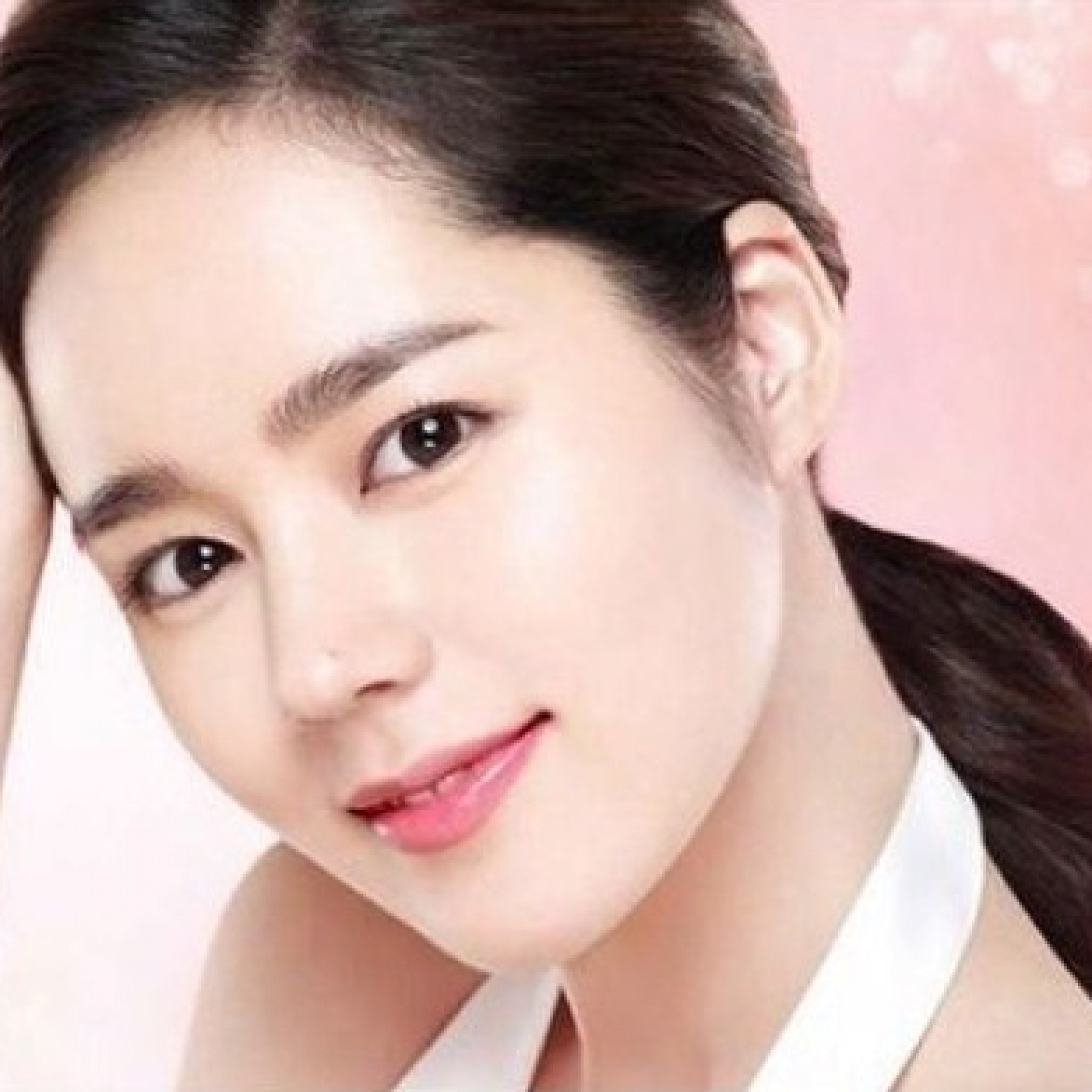 Han Ga In