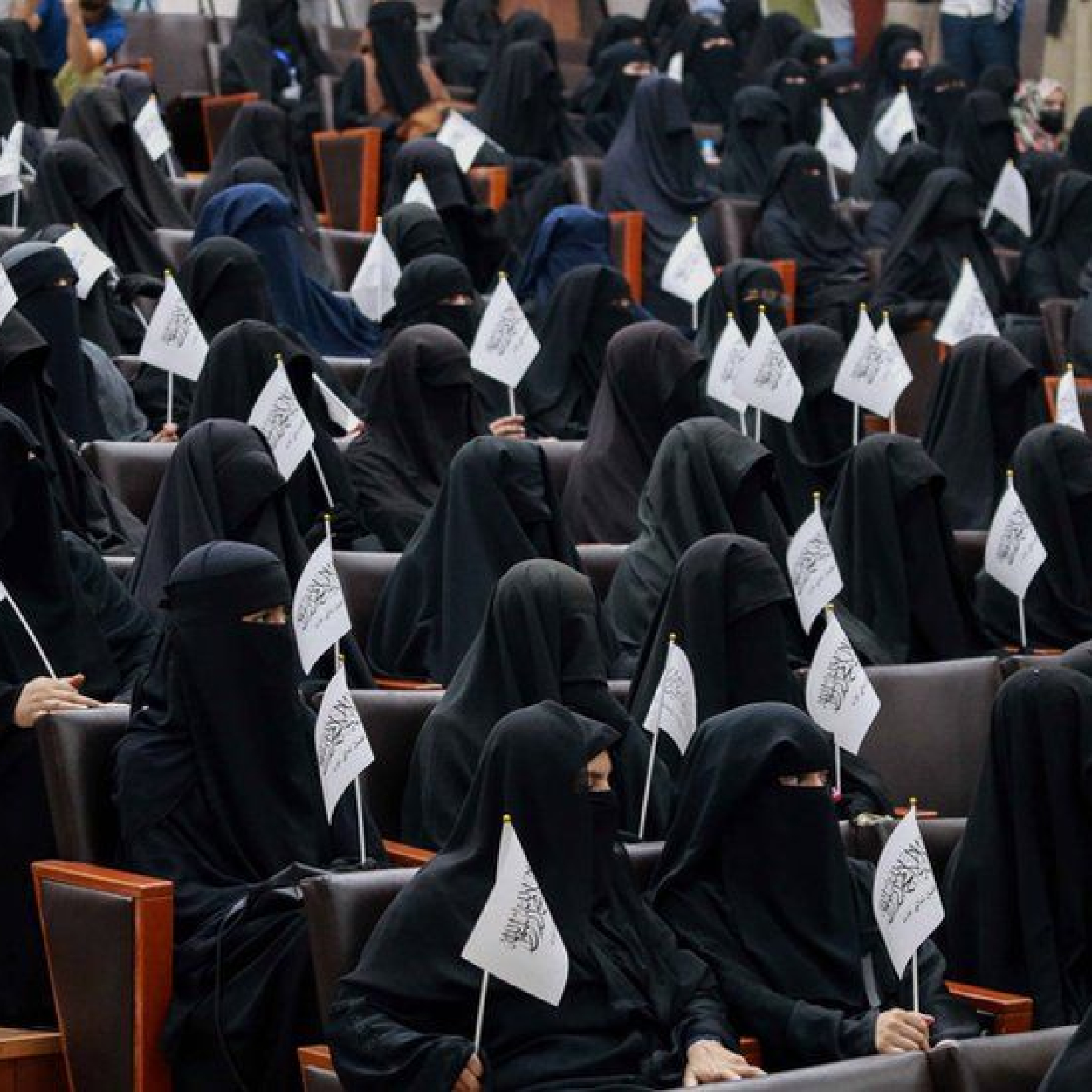 university in afghanistan