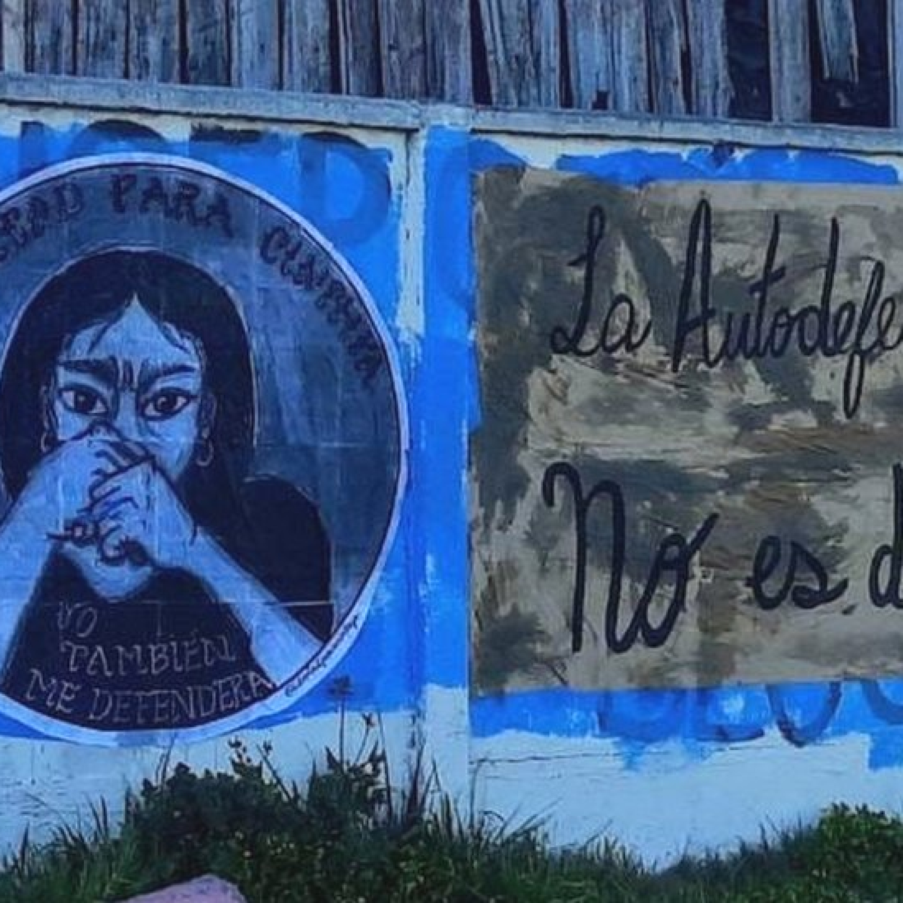 Cynthia Concha's case received the backing of women's groups which defended her right to self-defence