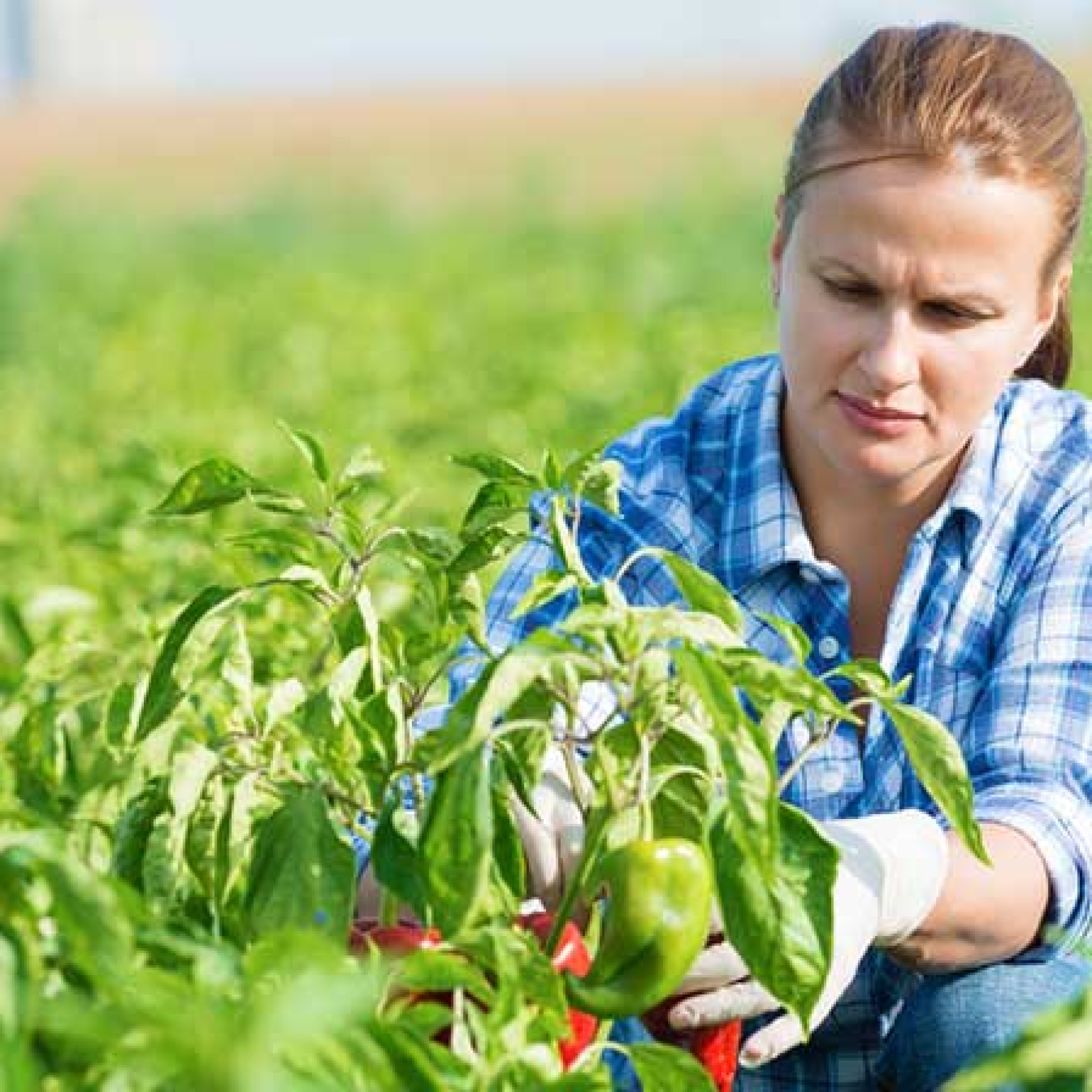 agriculture university women