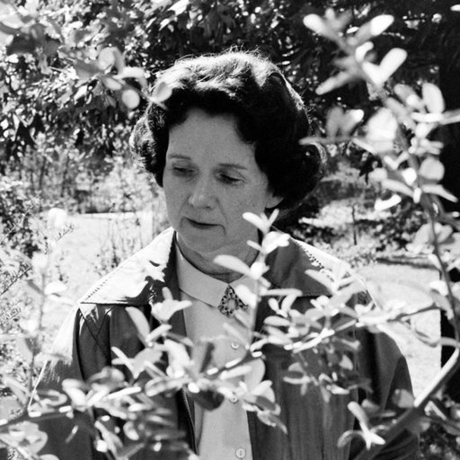 gallery-1519423399-rachel-carson-web