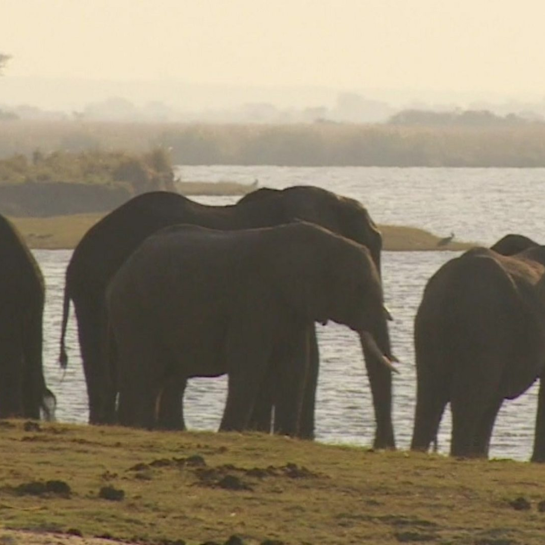 Female Mokoro polers changing stereotypes in Botswana's Okavango Delta